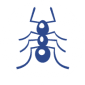 Ant Icon