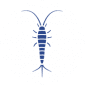 Silverfish Icon