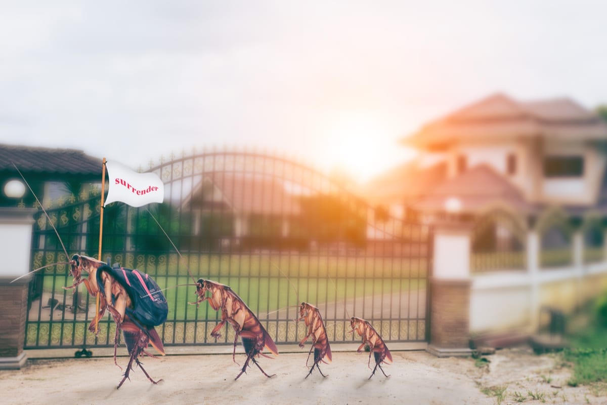 Residential Pest Control